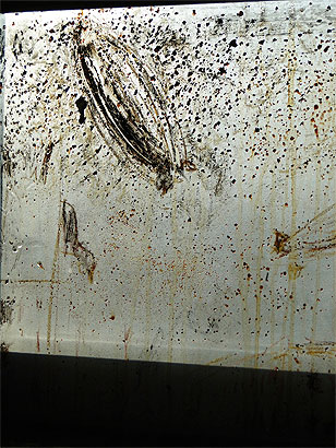 Martin Paulus